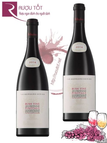 Rượu vang Bush Vines Pinotage Bernard Series Chiết khấu cao