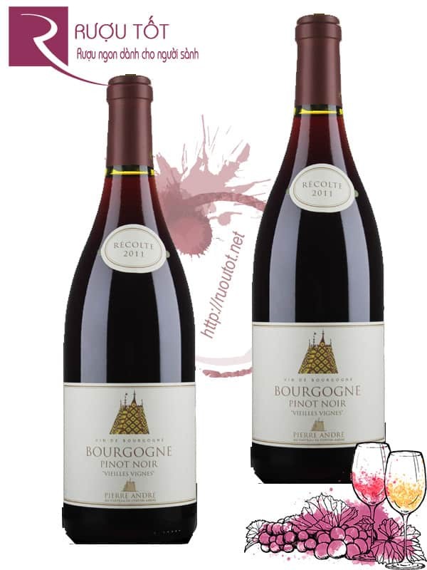 Vang Pháp Bourgogne Pinot Noir Pierre Andre Thượng hạng