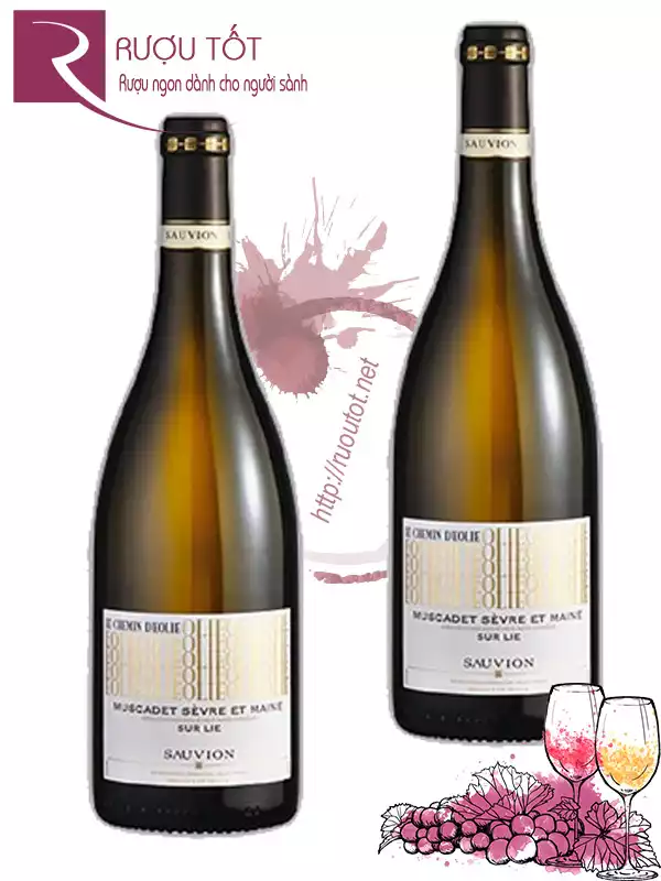 Vang Pháp Muscadet Le Chemin d'Eolie Sauvion Chiết khấu cao