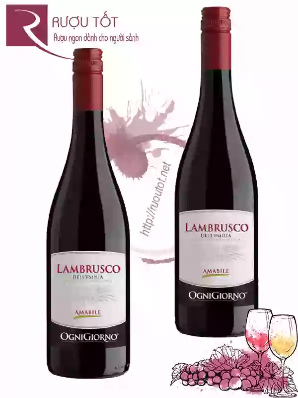 Vang Ý Lambrusco dell Emilia Ogni Giorno Thượng hạng