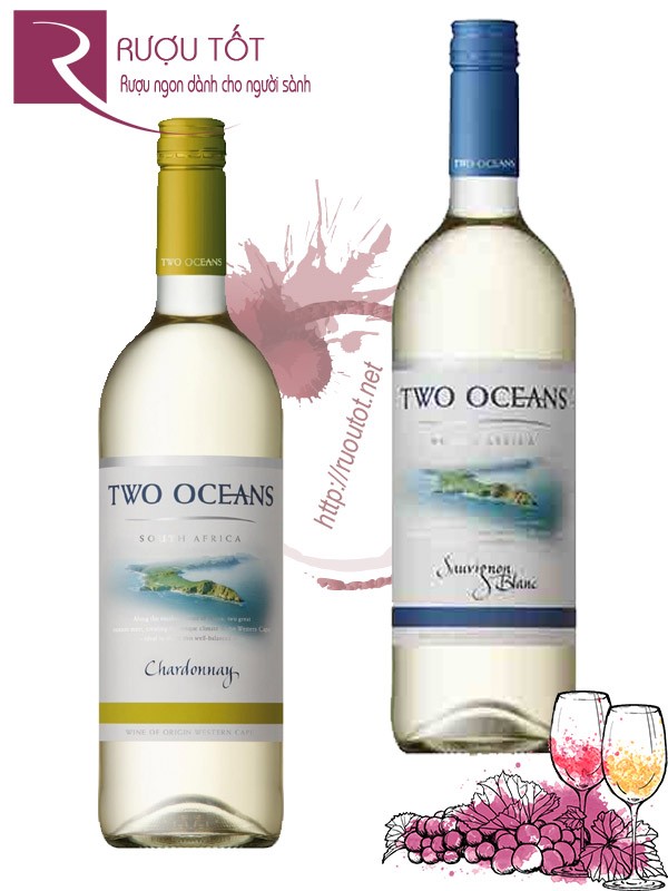Rượu vang Two Oceans Sauvignon Blanc Chardonnay Thượng hạng