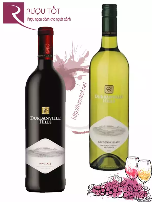 Rượu vang Durbanville Hills Đỏ - Trắng Chiết khấu cao