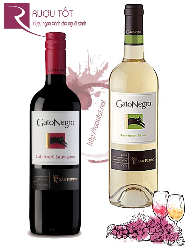 Rượu Vang Gato Negro Cabernet Sauvignon - Sauvignon Blanc