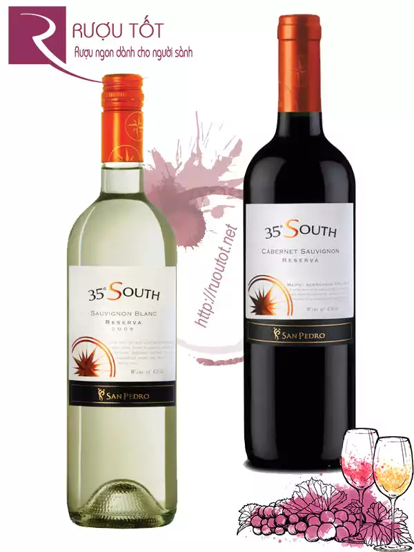 Vang Chile 35 South Sauvignon (Đỏ - Trắng) Thượng hạng