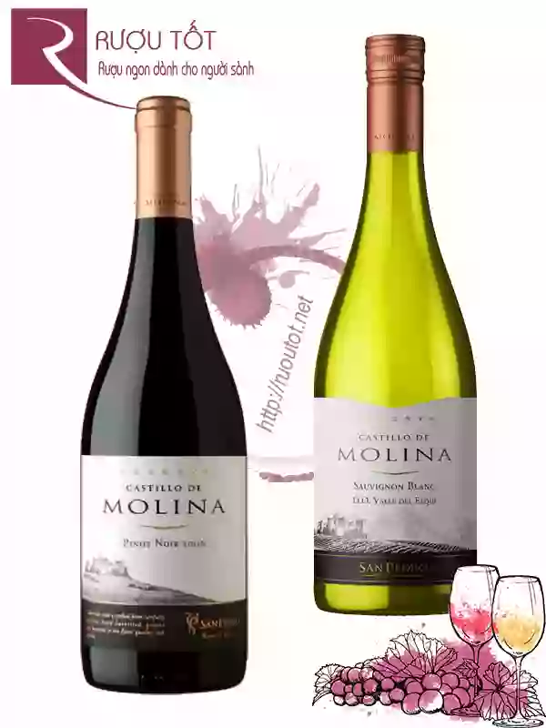 Rượu Vang Castillo de Molina San Pedro Reserva Red - White