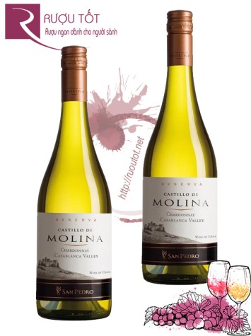 Vang Chile Castillo de Molina Reserva Chardonnay Chiết khấu cao