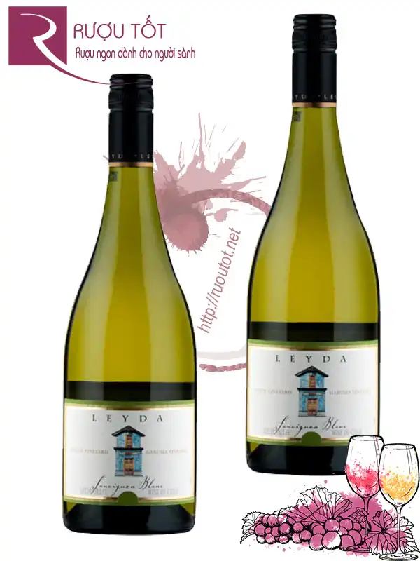 Rượu Vang Chile Leyda Single Vineyard Garuma
