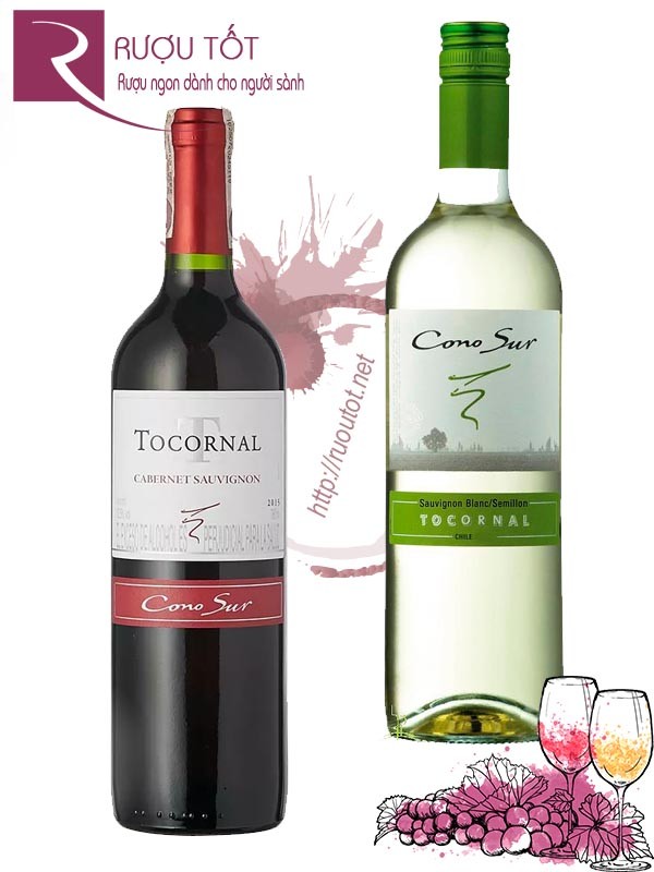 Vang Chile Tocornal Cono Sur (Red – White) Thượng hạng