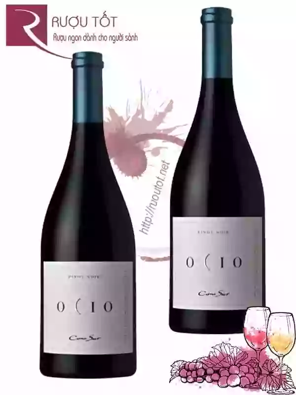Vang Chile Ocio Cono Sur Pinot Noir