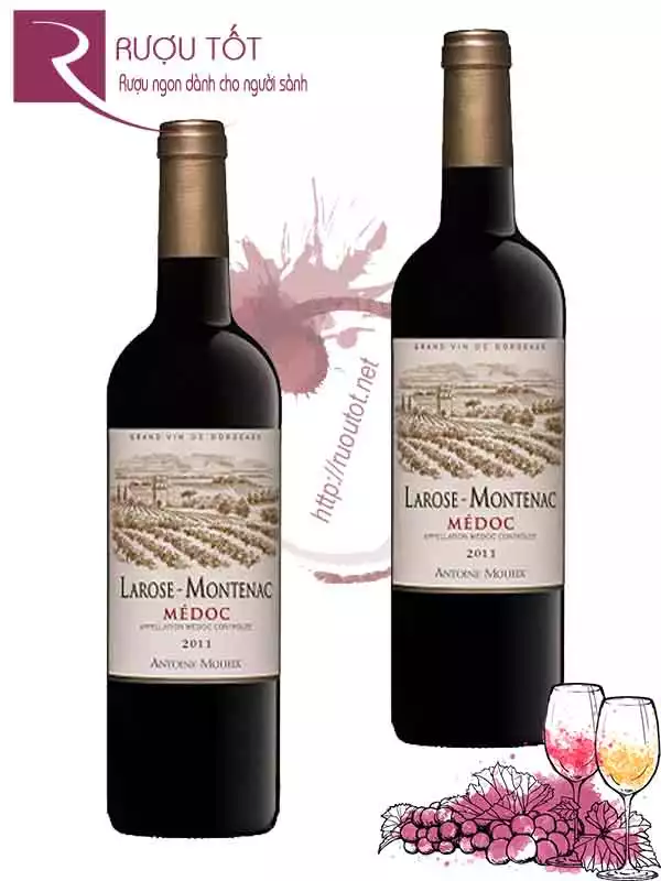 Vang Pháp Larose Montenac Medoc Antoine Moueix