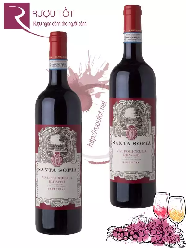 Vang Ý Santa Sofia Valpolicella Ripasso Superiore Thượng hạng