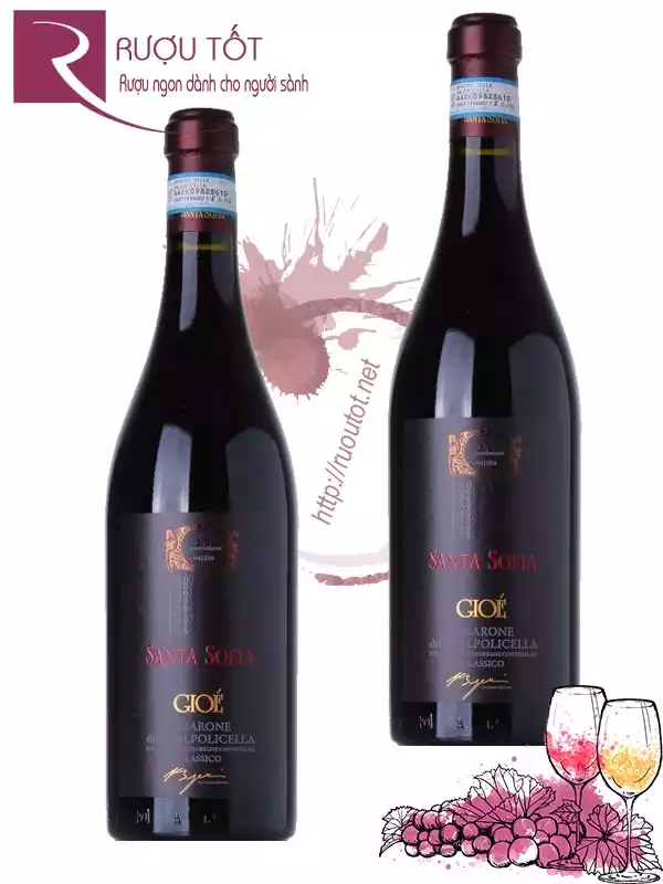 Vang Ý Santa Sofia Gioe Amarone Classico