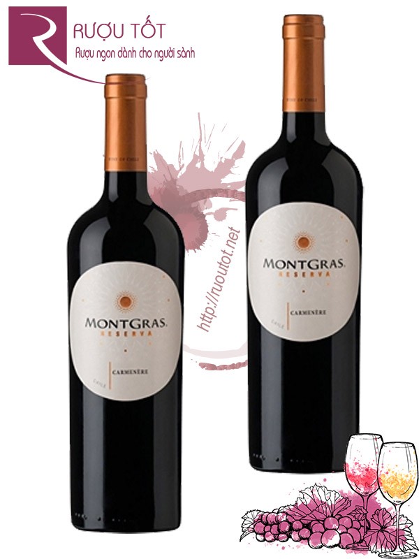 Rượu Vang MontGras Reserva Carmenere