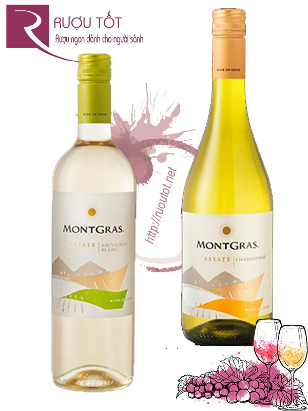 Vang Chile MontGras Estate Chardonnay, Sauvignon Blanc Chính hãng
