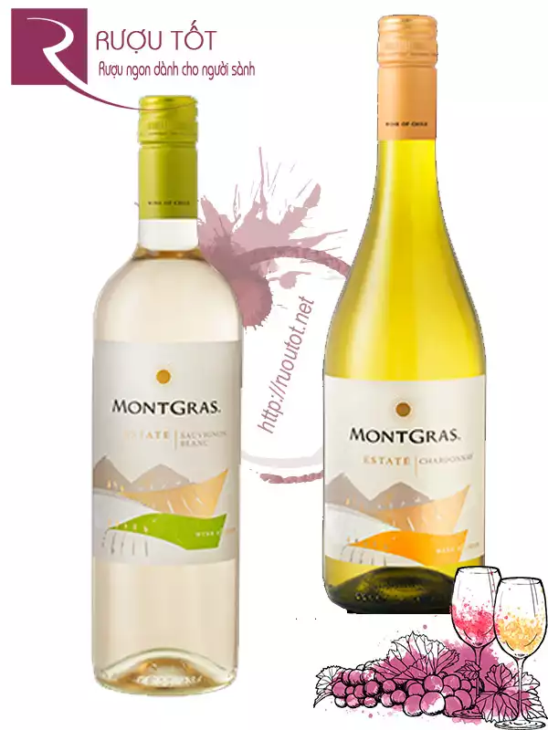 Vang Chile MontGras Estate Chardonnay - Sauvignon Blanc