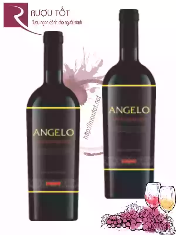 Vang Ý Angelo Appassimento Vino Rosso Puglia Cao cấp