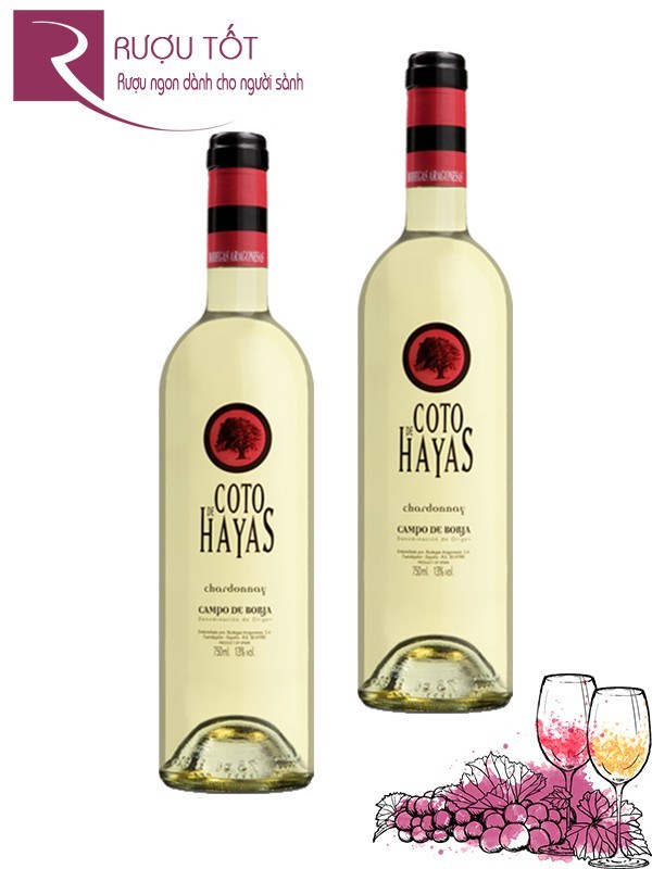 Rượu vang TBN Coto de Hayas Blanco Chardonnay
