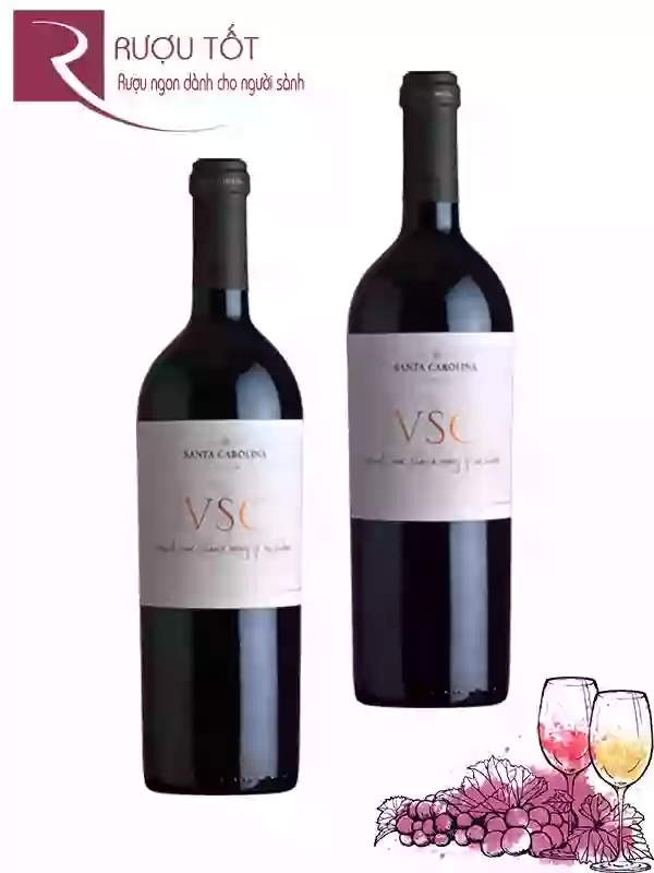 Rượu Vang VSC Santa Carolina Thượng hạng