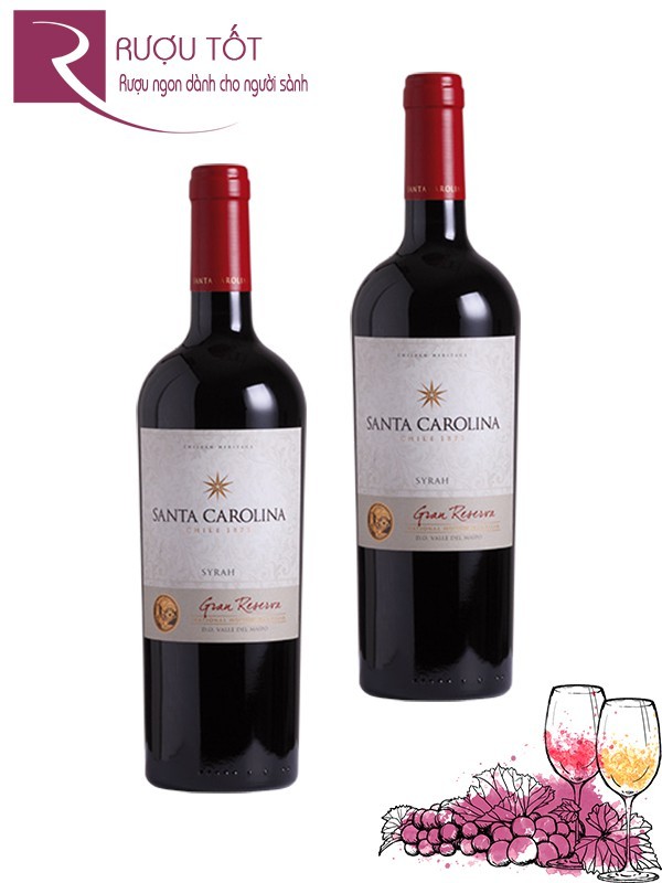 Rượu Vang Santa Carolina Syrah Gran Reserva