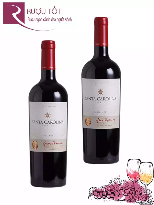 Vang Chile Santa Carolina Gran Reserva Carmenere Thượng hạng