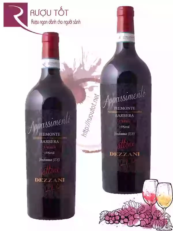 Rượu Vang Appassimento Gattone Dezzani Barbera Piemonte Cao cấp