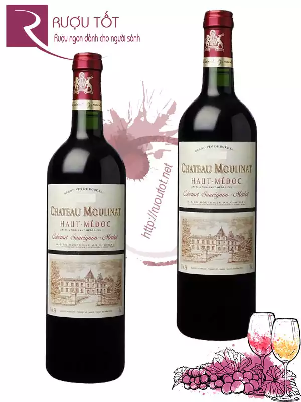 Vang Pháp Chateau Moulinat Haut Medoc