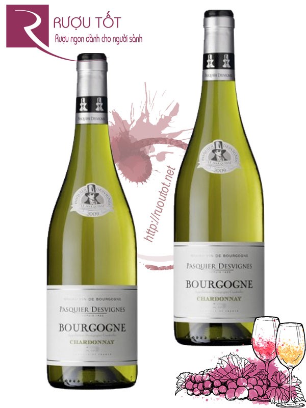 Vang Pháp Bourgogne Pasquier Desvignes Chardonnay Cao Cấp