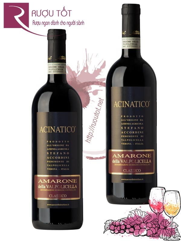 Rượu vang Acinatico Amarone Della Valpolicella