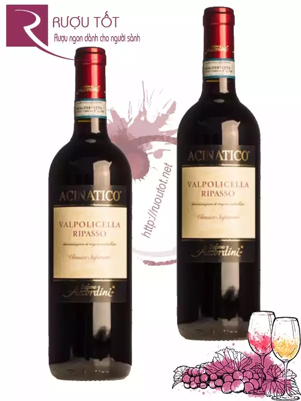 Vang Ý Acinatico Valpolicella Ripasso Superiore Cao cấp