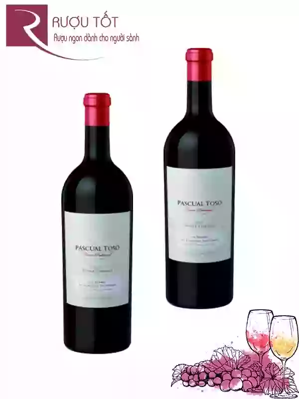 Rượu vang Pascual Toso Single Vineyards Finca Pedregal Hảo hạng