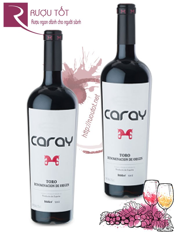 Rượu vang Caray Tinta de Toro El Soleado 6 tháng