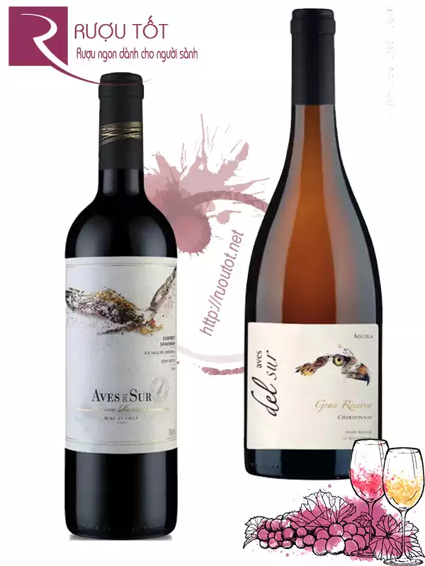 Vang Chile Aves del Sur Gran Reserva Red - White