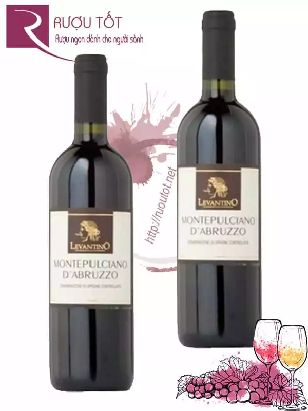 Vang Ý Levantino Montepulciano DAbruzzo DOP Hảo hạng