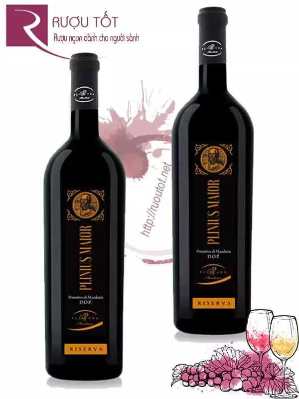 Vang Ý Plinius Maior Primitivo di Manduria Riserva DOP