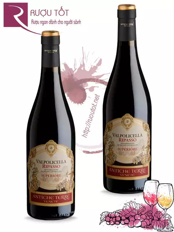 Vang Ý Valpolicella Ripasso Superiore DOC Thượng hạng