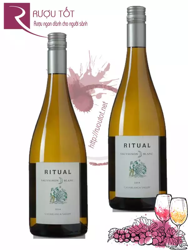 Vang Chile Ritual Sauvignon Blanc Casablanca Valley Hảo hạng