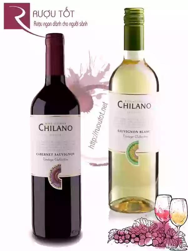 Vang ChiLe ChiLano (Red – White) Cao cấp