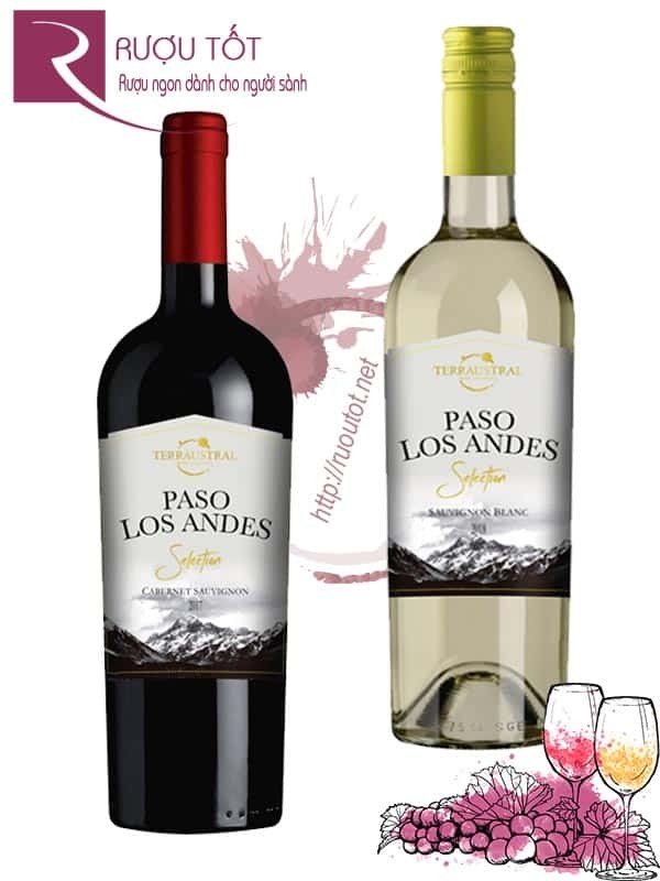 Vang Chile Paso Los Andes Selection Thượng hạng