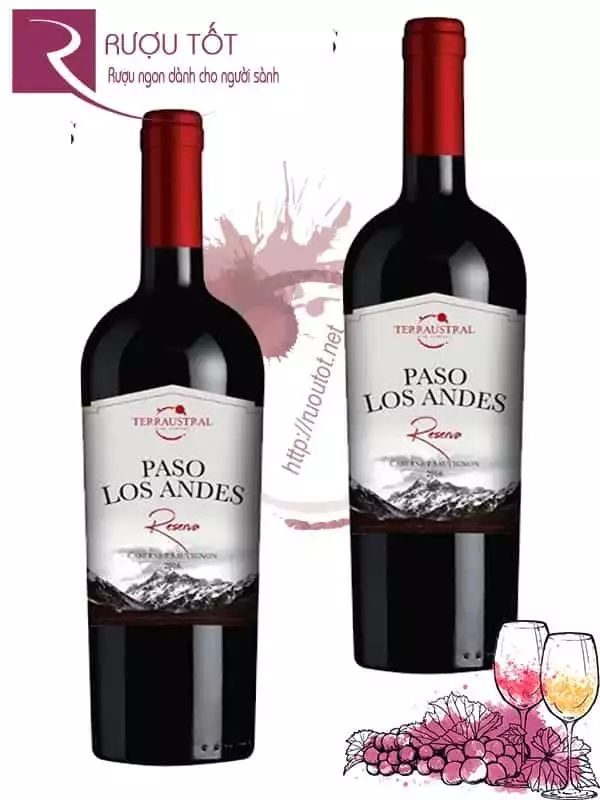 Vang Chile Paso Los Andes Reserva Red 14 độ Cao cấp