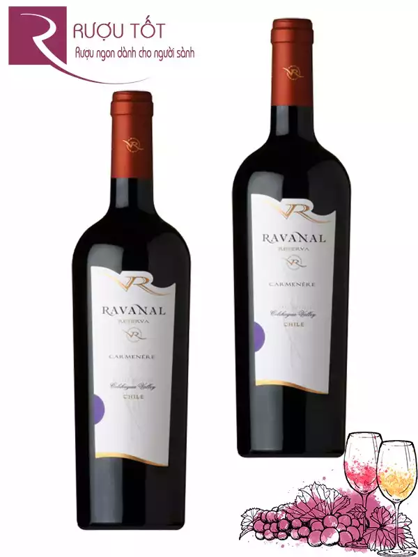 Vang Chile Ravanal Reserva Carmenere Thượng hạng