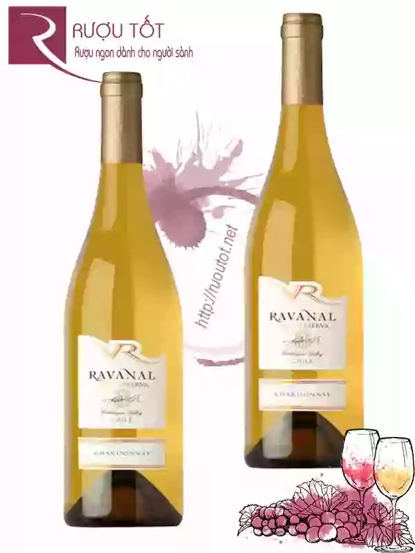 Vang Chile Ravanal Gran Reserva Chardonnay Thượng hạng