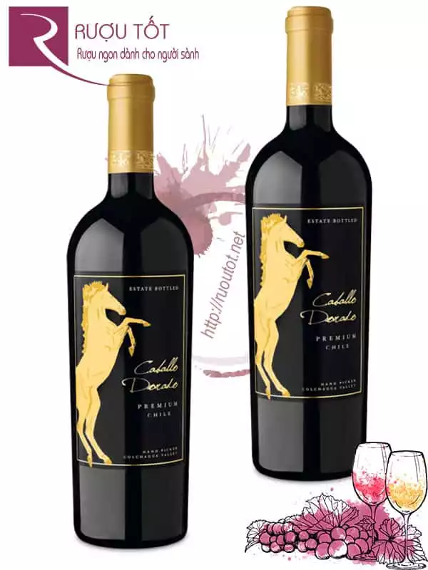 Vang Chile Caballo Dorado Premium Carmenere Syrah Colchagua Valley