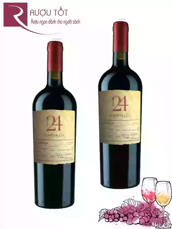 Rượu Vang 24 OchoTierras Gran Reserva