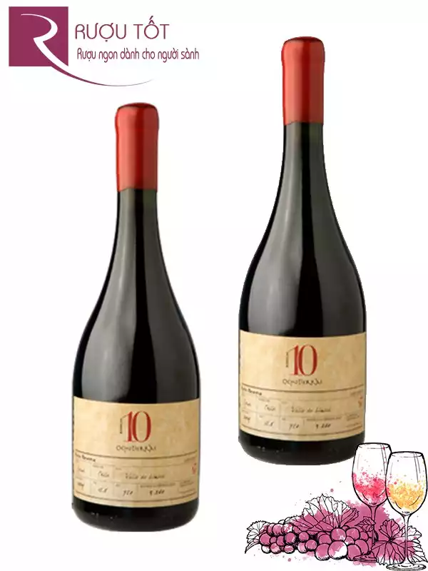 Rượu Vang 10 Ocho Tierras Gran Reserva Syrah Cao cấp