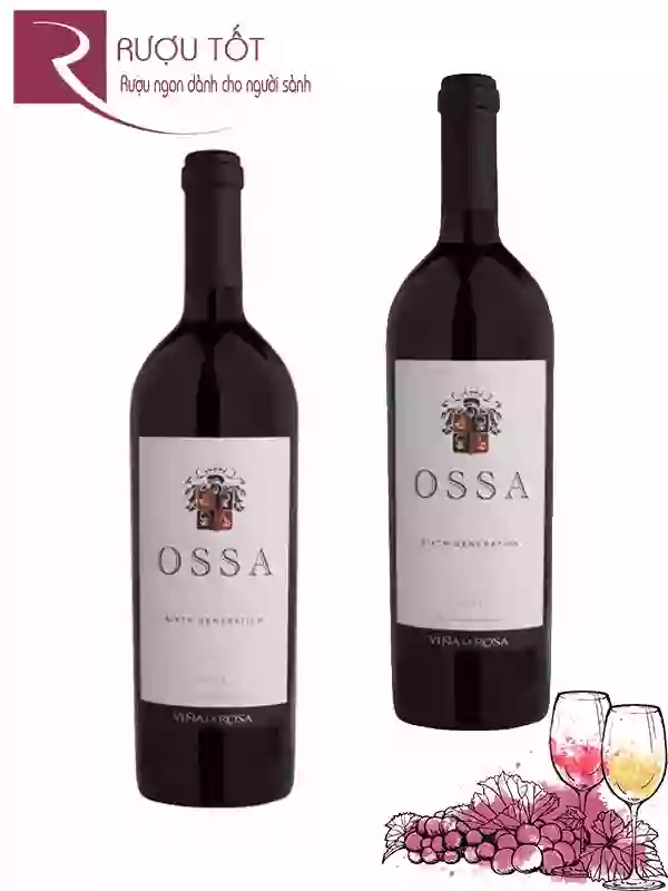 Rượu Vang Ossa Icon Wine 2007 Thượng hạng