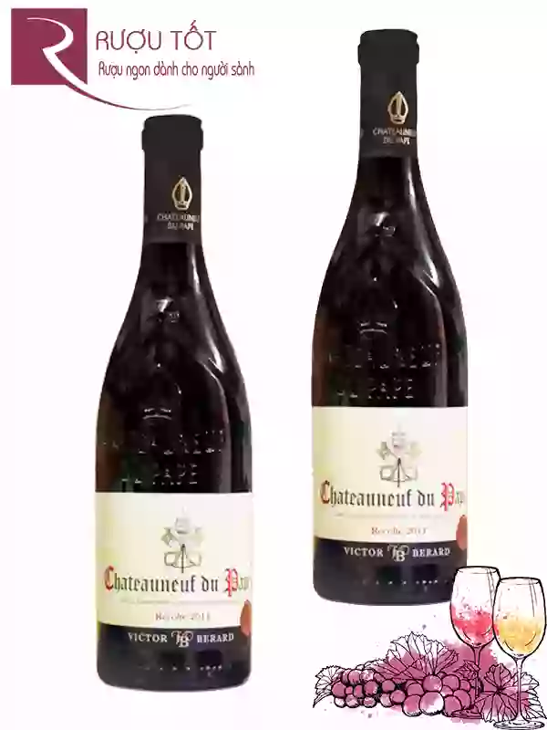 Rượu Vang Chateauneuf Du Pape Victor Berard Thượng hạng