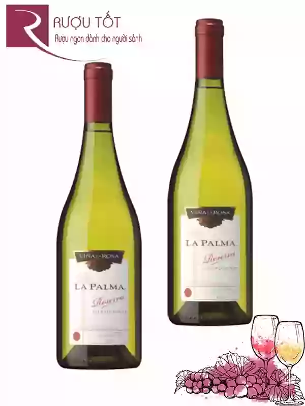 Rượu Vang La Palma Reserva Chardonnay Thượng hạng