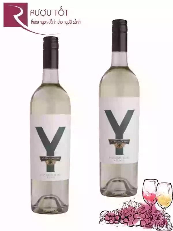 Rượu Vang Y Reserva Sauvignon Blanc Thượng hạng