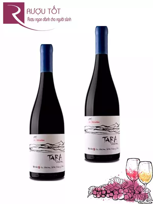 Vang Chile Tara Atacama Syrah Thượng hạng