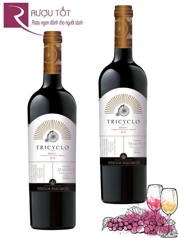 Vang Chile Tricyclo Marchigue Colchagua Valley Cao cấp